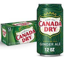 Ginger Ale Soda, 12 Fl Oz Cans (Pack of 12) picture