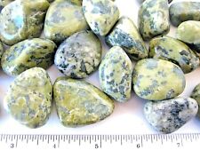 Three Spotted Jade Nephrite 25-30mm Tumbled Stones Healing Crystal Reiki Wealth  picture