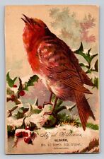 Alfred Williams Glover Bird Holly Philadelphia P616 picture