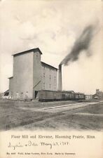 Flour Mill & Elevator Blooming Prairie Minnesota MN 1908 Postcard picture