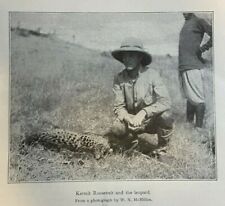 1909 Theodore Roosevelt Big Game Hunting in Africa Juja Farm Hippos Leopards picture