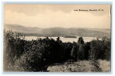 1951 Lake Waukewan View Meredith New Hampshire NH Posted Vintage Postcard picture