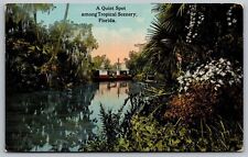 Tropical Florida River Reflections Boat Riverfront WOB Vintage UNP FL Postcard picture