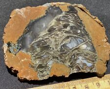 PRIDAY AGATE NICE MOSS PATTERNS ROUGH SLAB 2 OZ - 56 GRAMS OREGON picture
