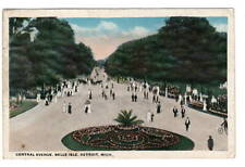 Postcard MI 1907 View of Central Avenue on Belle Isle Detroit Horse and Buggy picture