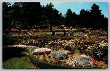 Washington Park Rose Gardens Portland Oregon Flowers Floral Vintage UNP Postcard picture