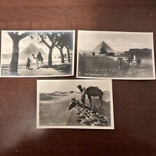 Vintage B&W Photo Postcards Pyramids And Camels picture