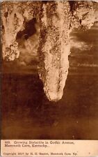 Mammoth Cave Gothic Avenue Stalactite Formation Kentucky Sepia BW Postcard picture