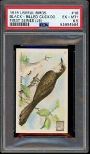 1915 J5 Church & Dwight Useful Birds of America #18 Black-billed Cuckoo PSA 6.5 picture
