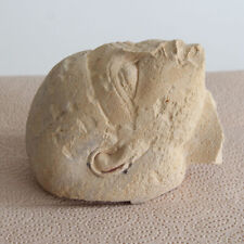 ANCIENT EGYPT | Antique sandstone head  (collected pre 1949) picture
