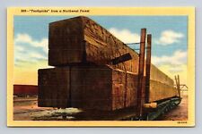 c1942 Linen Postcard Logging Toothpicks Northwest Forest picture