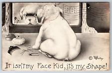c1910s It isn't My Face Kid It's My Shape V Colby Art Puppy Vintage Postcard picture