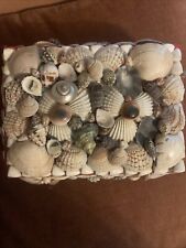 Handmade Seashell Shell Art Jewelry Trinket Box Nautical Beach Vintage picture