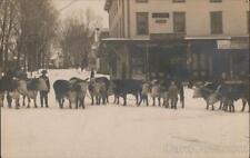 1910 RPPC Hillsborough,NH Oxen Team in Winter,G. F. Butler Variety Store Vintage picture