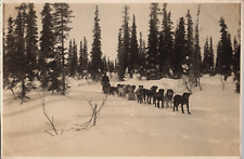 ORIGINAL Rare Antique Photo Alaska  Dog Sled Race with Driver WOW picture
