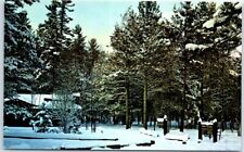 Postcard - Hartwick Pines State Park - Grayling, Michigan picture