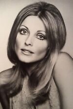 Sharon Tate - Hollywood Actor - 4 x 6 Photo Print picture