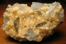 Gorgeous Old Time Blue Barite Crystals on Matrix from near Sterlling, Colorado  picture