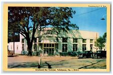 c1940's Greyhound Bus Terminal Tallahassee Florida FL Unposted Trees Postcard picture