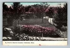Caledonia MN-Minnesota, St Peter's Church Grounds, Scenic View Vintage Postcard picture