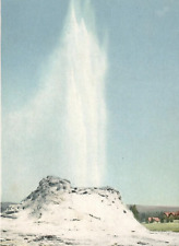 Vintage Postcard Castle Geyser Yellowstone Park Wyoming WY picture