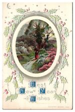 1912 Best New Year Wishes, Holly, Country Scene, Embossed, Greetings Postcard picture