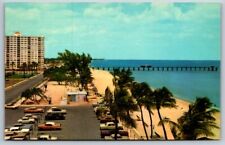 Chrome Postcard Pompano Beach Florida Coconut Palms picture