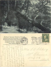 1909 Nature scene,postmark Grand Rapids,MI Kent County Michigan Postcard Vintage picture
