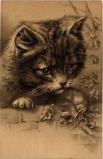 PC CPA CAT, CAT PLAYING WITH A LADYBUG, VINTAGE EMBOSSED POSTCARD (b3851) picture