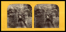 Parc de saint-Cloud, Les Goulottes, ca.1860, day/night stereo (French Tissue) Ti picture