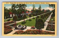 Chandler AZ-Arizona, Orange Vista And Gardens, Antique, Vintage Postcard picture