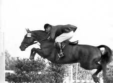 German equestrian Magnus von Buchwaldt wins Grand Prix Aachen - 1958 Old Photo picture