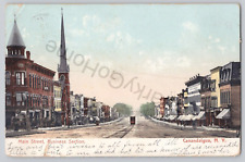 Main Street, Business Section Canandalgua New York Posted 1907 picture