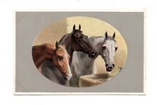 HORSES ~ ARTIST IMAGE OF BROWN, BLACK & WHITE TYPE. M. M. VIENNE PUB ~ c 1902 picture