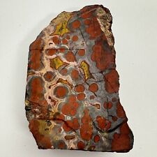 Orbicular Jasper Paradise Valley California 1 Lbs Rare Piece Very Old Stock picture