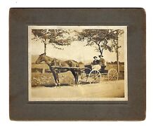c1890's Cabinet Card Photo 2 Men Riding Horse & Cart picture