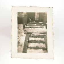 Snowy Front Porch Steps Dog Photo 1940s Olympia Washington Winter Snow B3046 picture