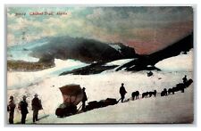 CHILKOOT trail Dog sled Team Klondike ~ Gold mining picture