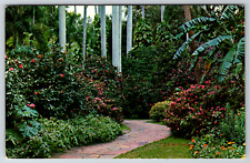 c1960s Florida Sunken Gardens Tropical Jungle Vintage Postcard picture