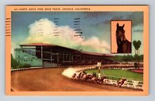 Arcadia CA-California, Santa Anita Park Race Track, Vintage Postcard picture