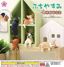 PSL Fuchiyasumi Various Dogs 2 All 5 Types Set (Capsule) Japan Toy 428Y picture