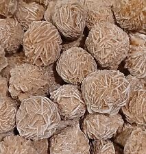Large selenite desert rose 1 pound lb stunning display specimens picture