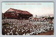 Los Angeles CA-California, Pigeon Ranch In The World, Vintage Postcard picture