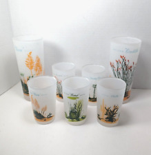 MCM 1950's Blakely Oil & Gas Cactus Frosted Vintage Tumblers - Set of 7 picture