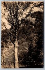 RPPC The Deer's Leap    Real Photo  c1915 picture