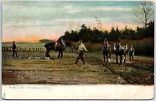 VINTAGE POSTCARD RAFAEL TUCK RURAL LIFE SERIES: HARROWING AND SOWING POSTED 1907 picture