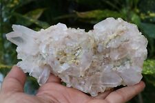 Unique White Quartz Crystal Cluster Natural Specimen Healing Stone 365 gm Rough picture