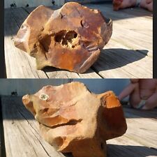 Authentic Native American Two Sided Turtle & Fish Effigy Sculpture Duck River Tn picture