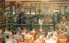 Keenland Race Course 1950s Yearling Sales Lexington Kentucky Tichnor 9837 picture