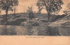 View on the Charles River Massachusetts MA 1907Postcard picture